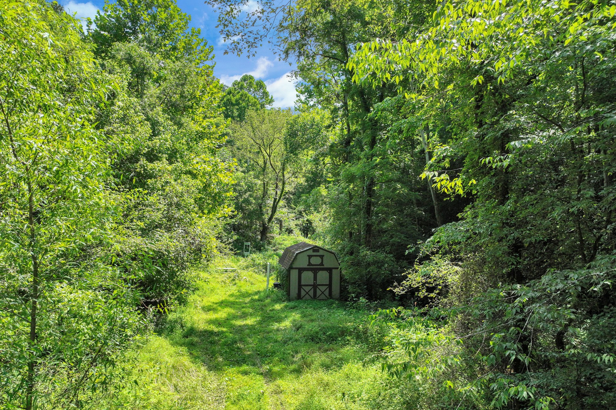 0 John Rains Road Woodbury, TN 37190 - Photo 14 of 51 Gallery Image 14