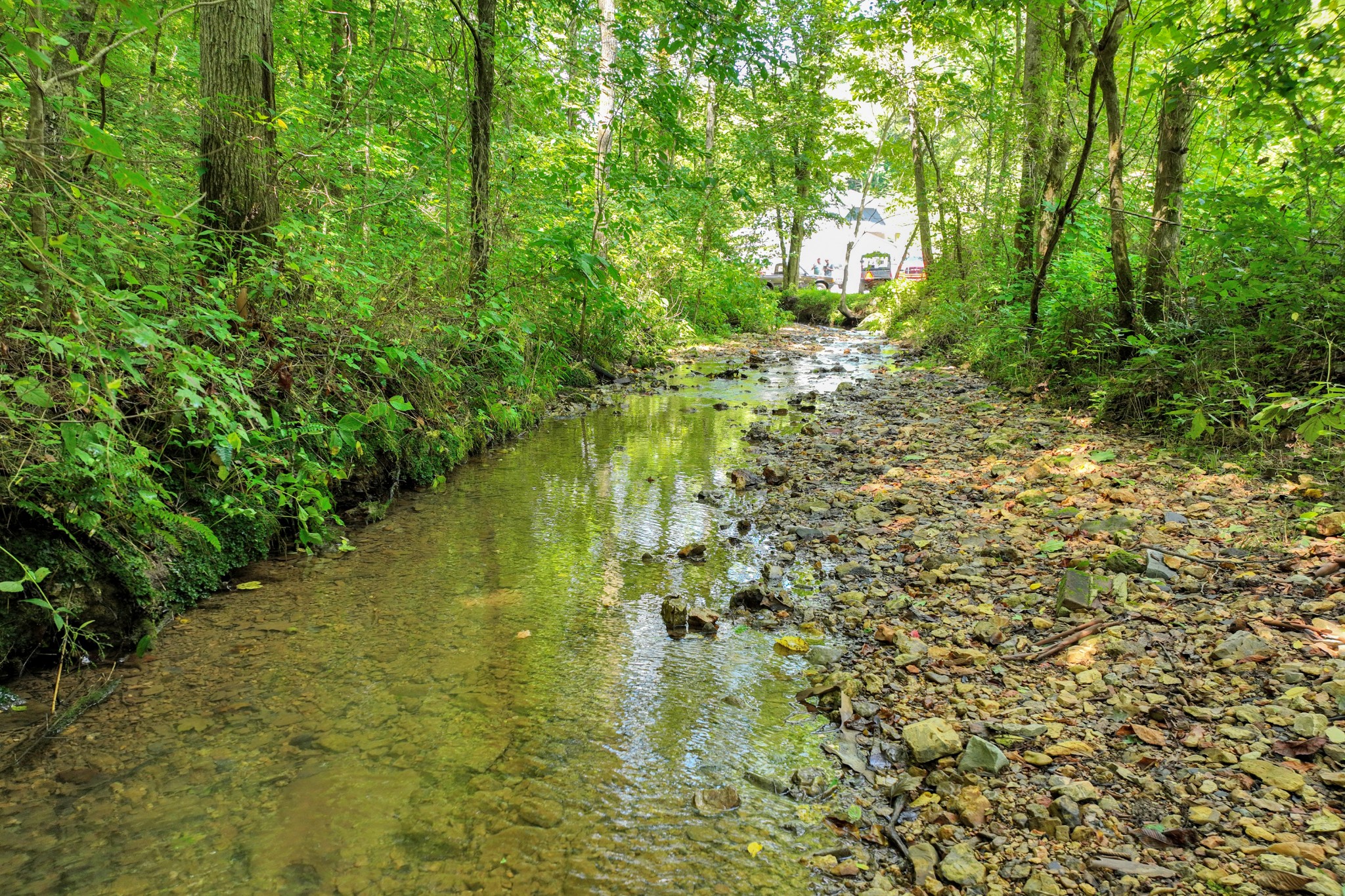 0 John Rains Road Woodbury, TN 37190 - Photo 16 of 51 Gallery Image 16