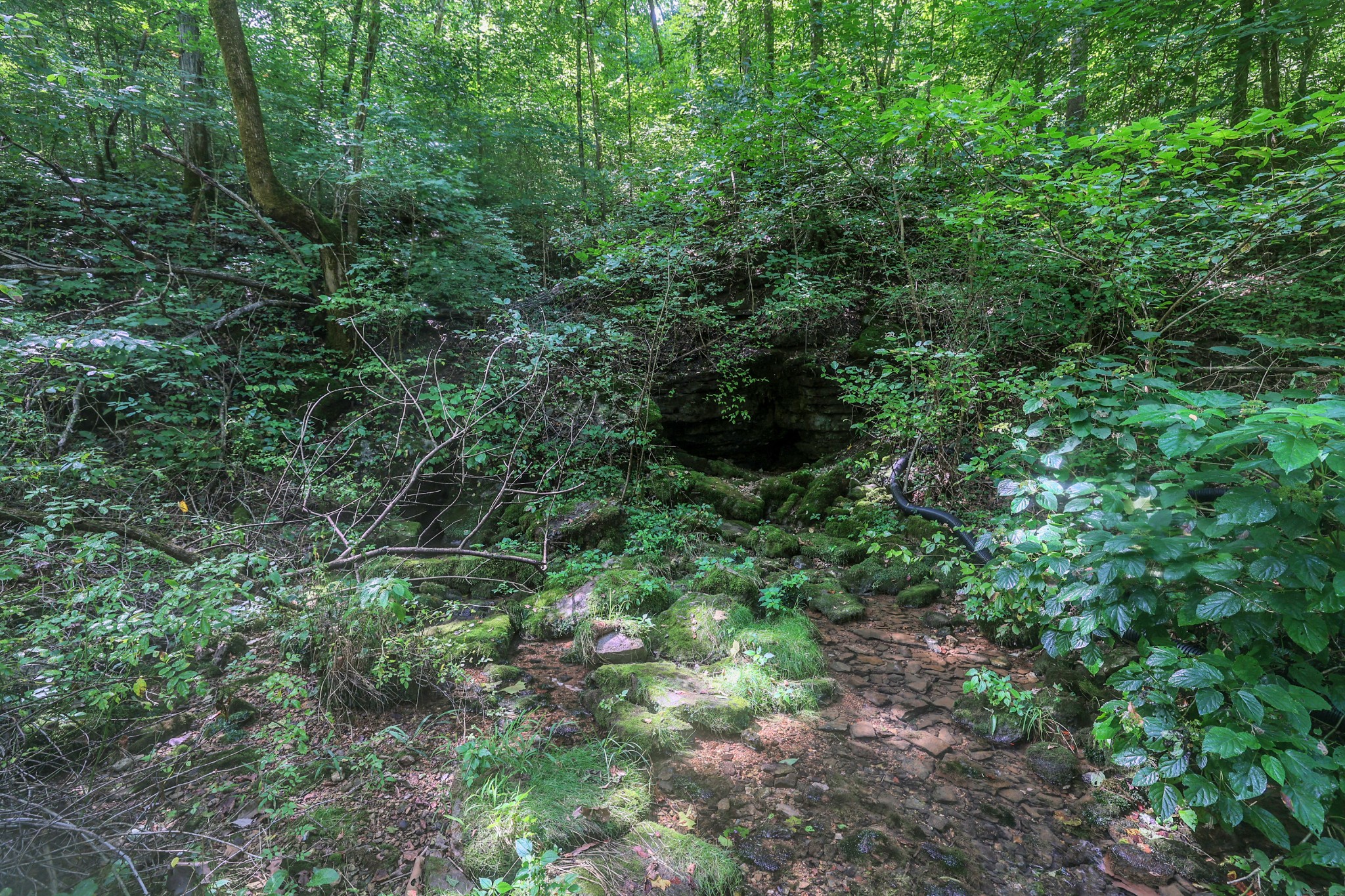 0 John Rains Road Woodbury, TN 37190 - Photo 19 of 51 Gallery Image 19