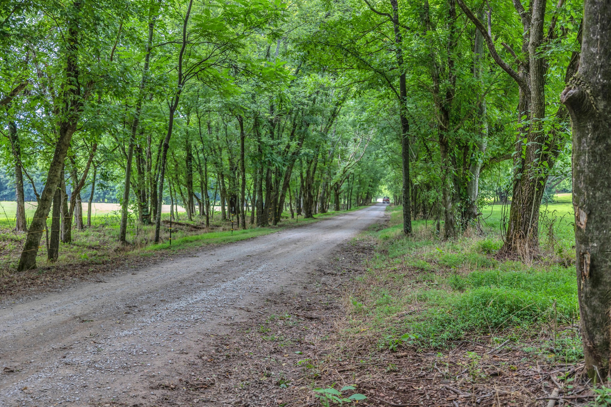 0 John Rains Road Woodbury, TN 37190 - Photo 9 of 51 Gallery Image 9