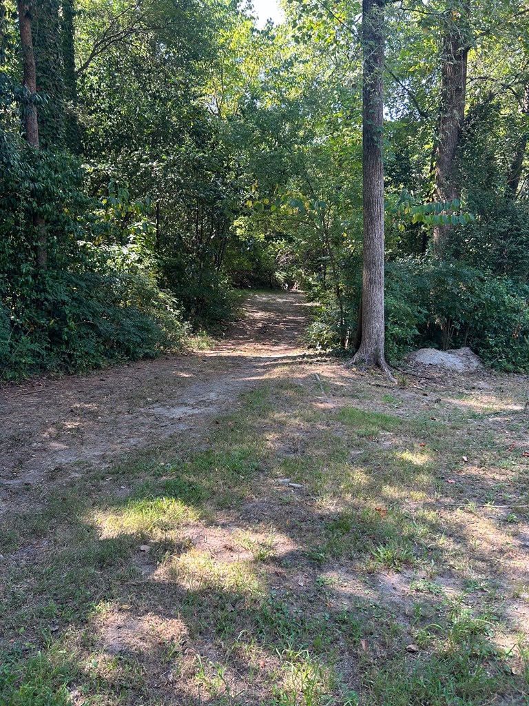 3426 Edgewood Road Columbus, GA 31907 - Photo 40 of 42 Wooded Yard