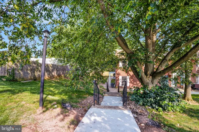 a view of a backyard with plants and large trees