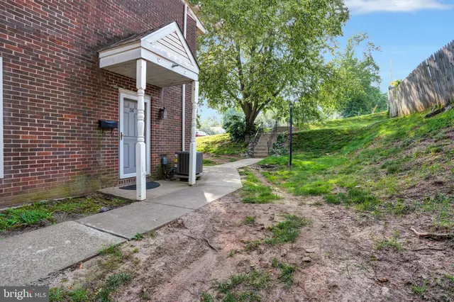 a backyard of a house with plants and large tree