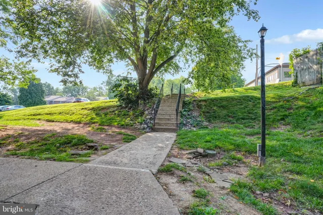 a view of a backyard with large trees