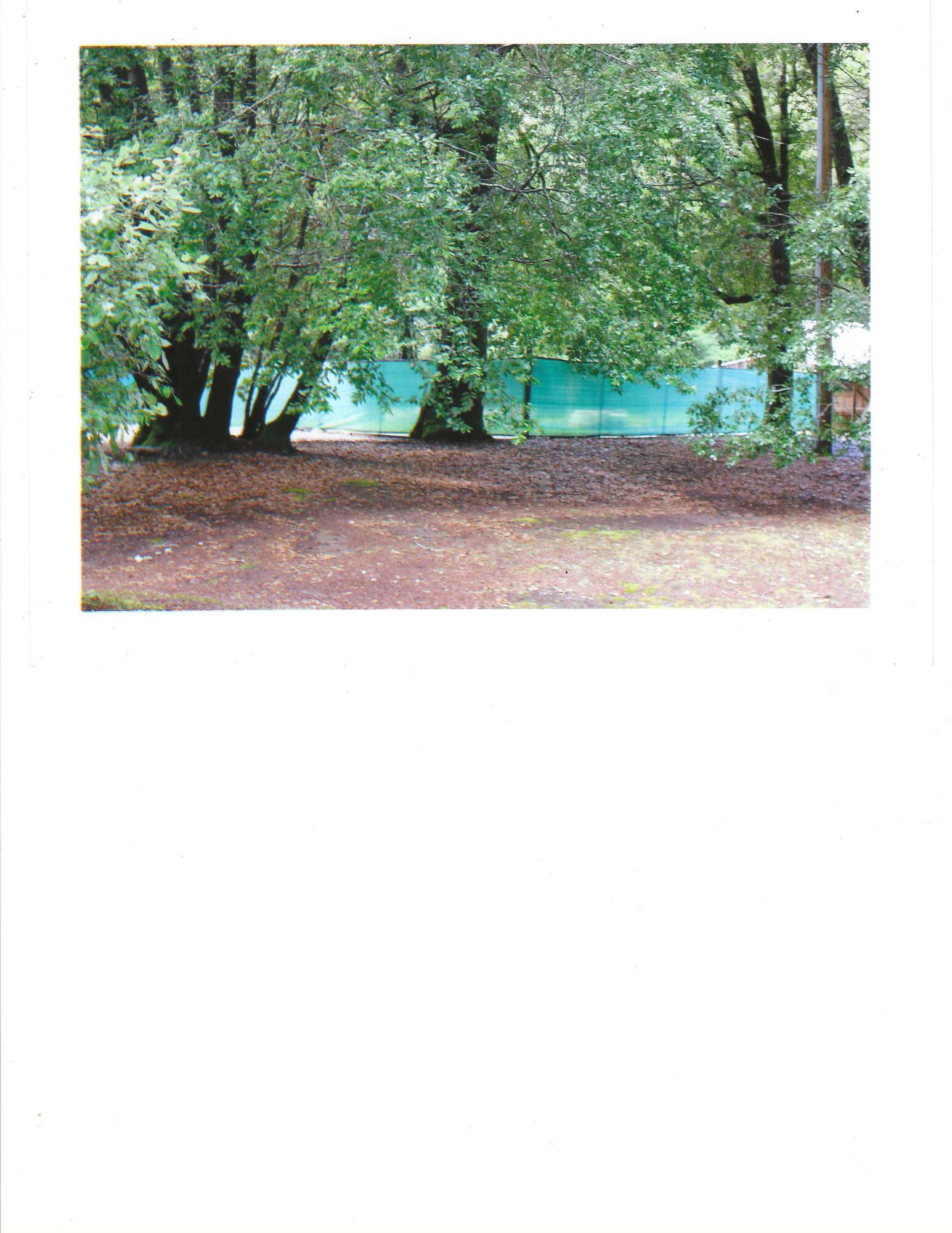 195 Rd A Whitethorn, CA 95589 - Photo 31 of 47 Enclosed Garden Aread