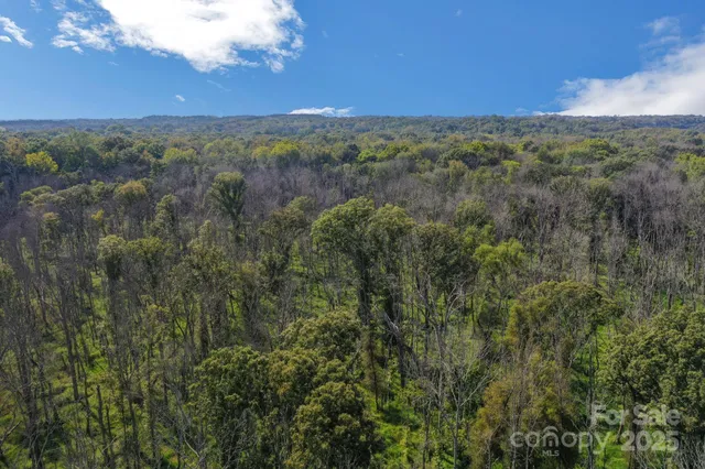 a view of a pathway both side of yard