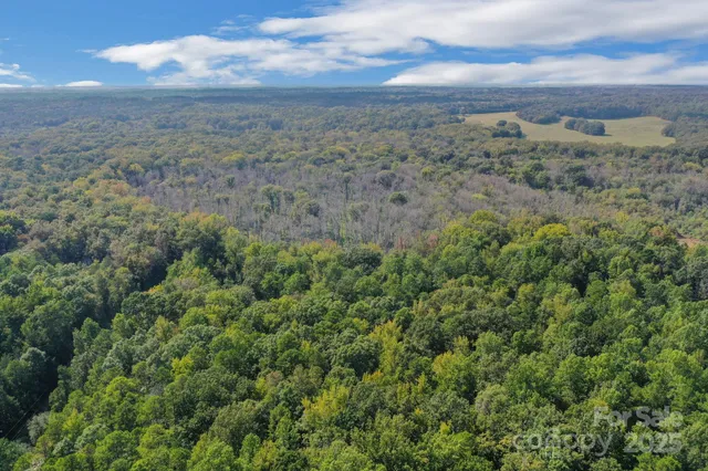 an aerial view of forest