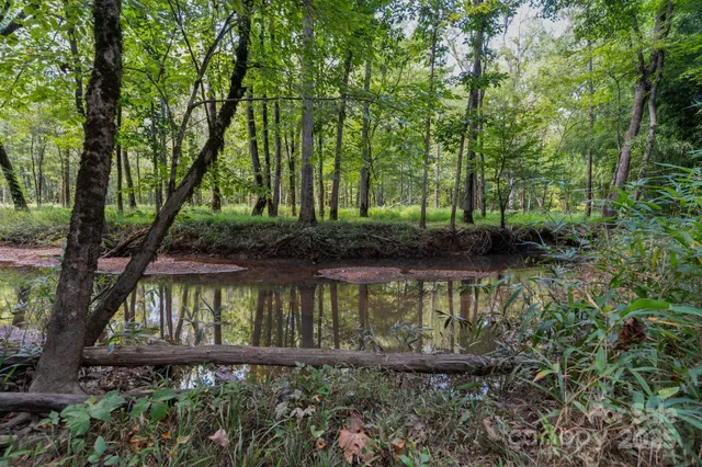 a view of swimming pool with a yard