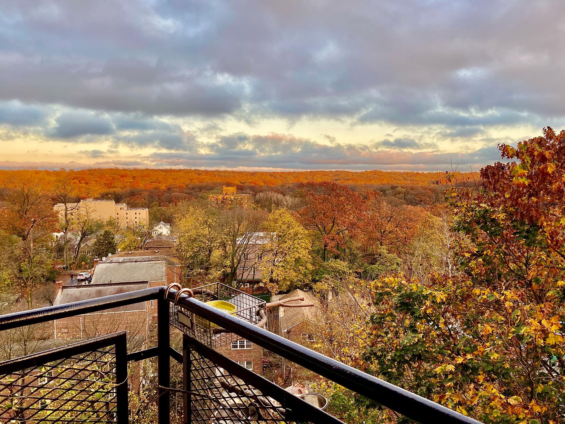 5550 Fieldston Road, Unit 7C Bronx, NY 10471 - Photo 19 of 26 a view of a city from a balcony