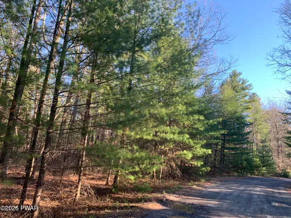 $60,000 | Center Road, Dingmans Ferry, PA 18328