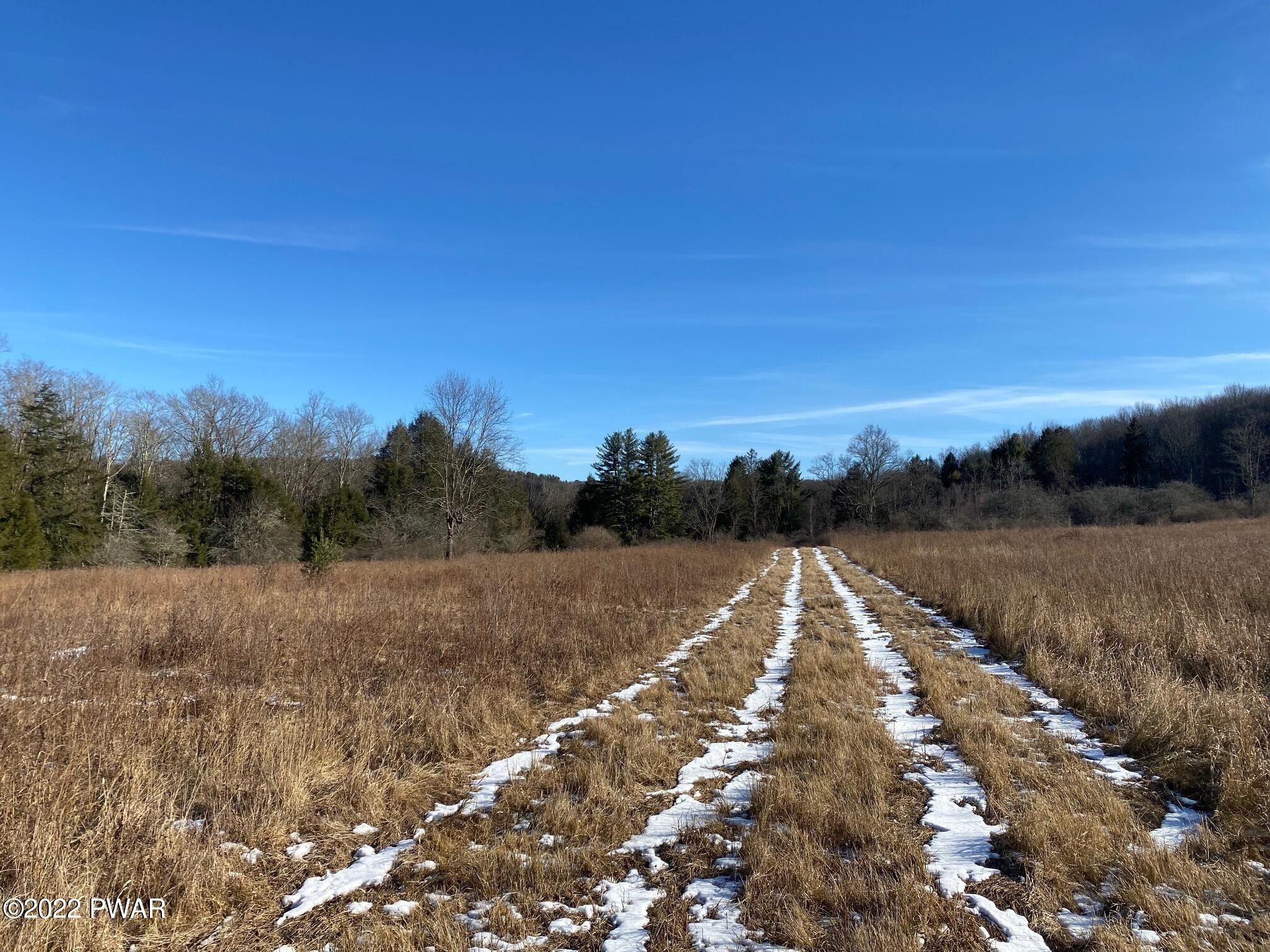 Calkins Road Milanville, PA 18443 - Photo 19 of 30