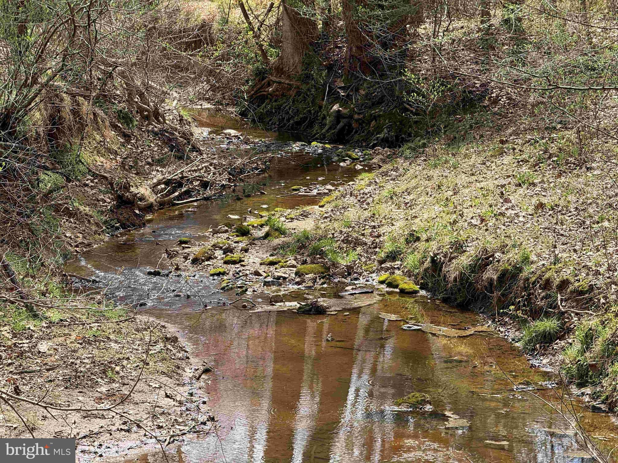 North Flint Hill Road Chatham, VA 24531 - Photo 12 of 15