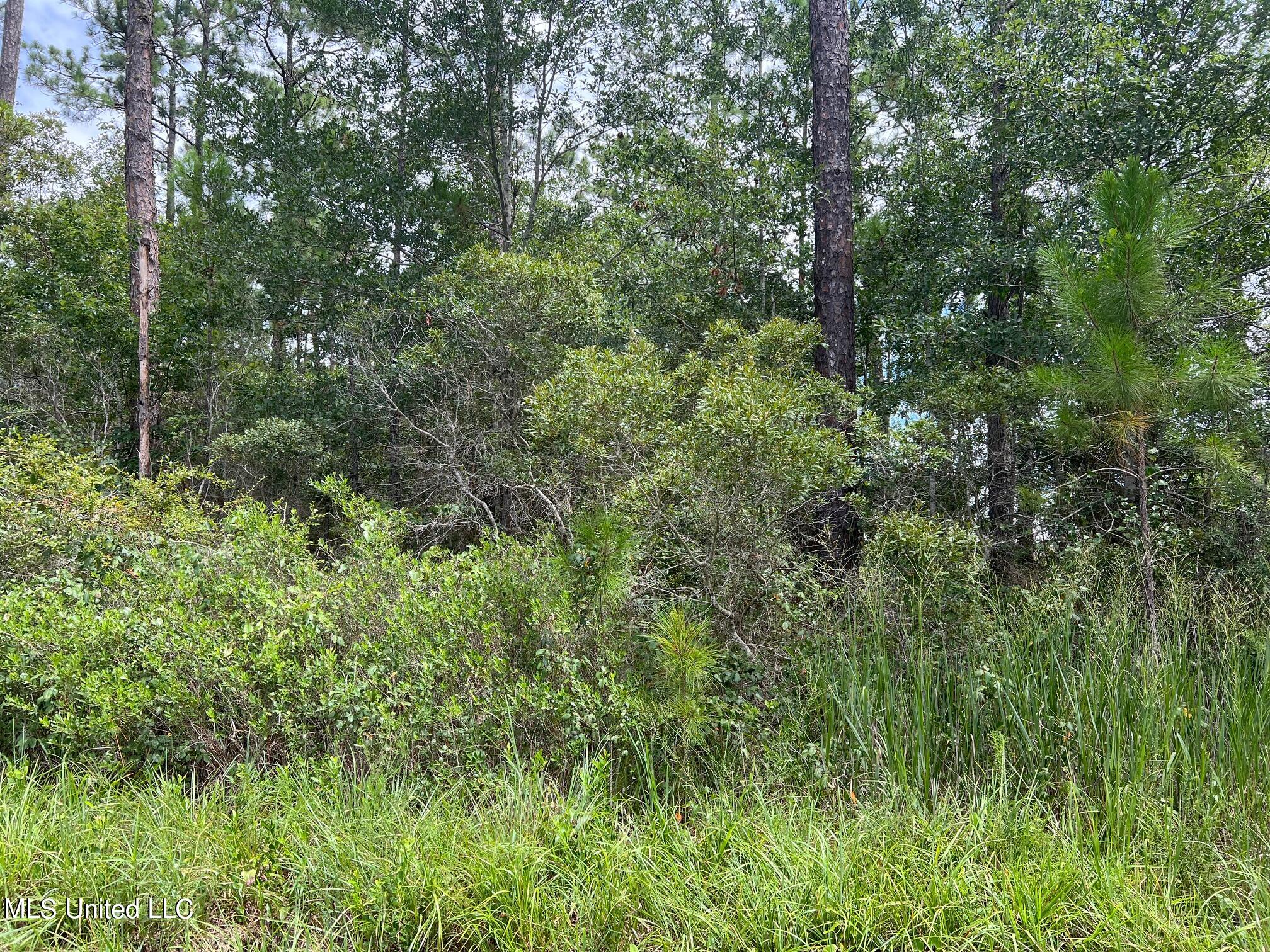 Old Bay St. Louis, MS 39520 - Photo 2 of 2 IMG_4545
