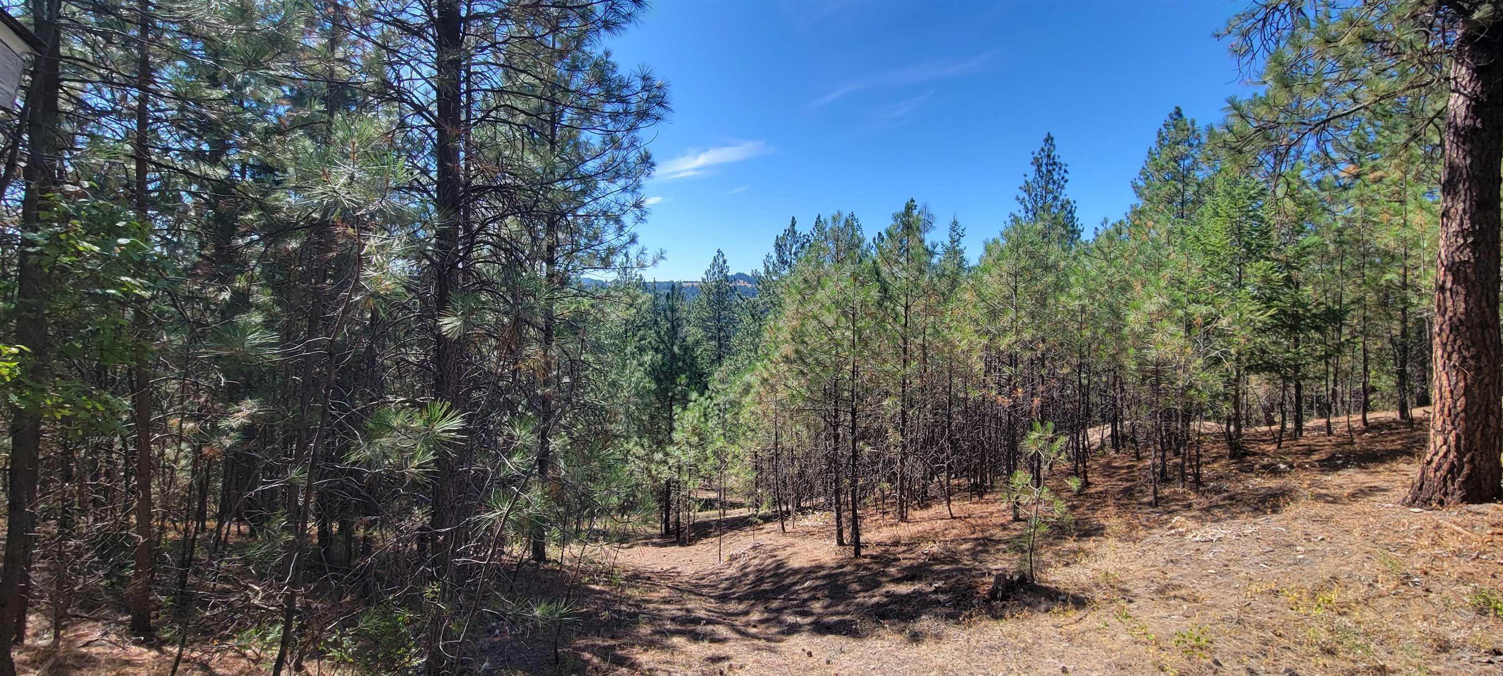 20621 North Market Road Colbert, WA 99005 - Photo 1 of 9