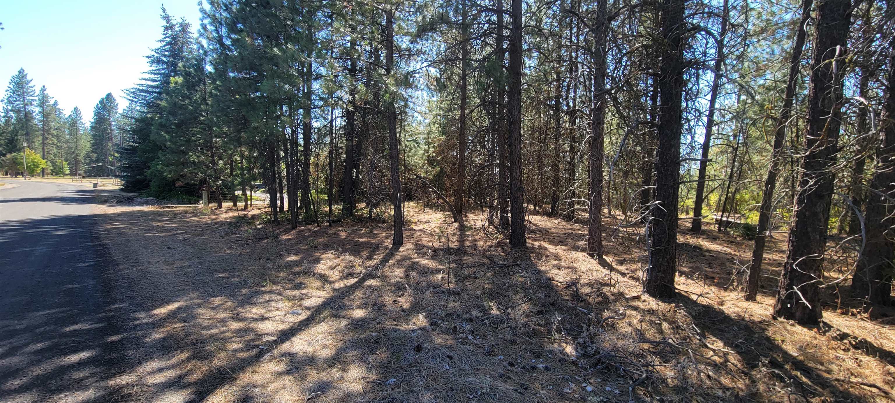 20621 North Market Road Colbert, WA 99005 - Photo 4 of 9