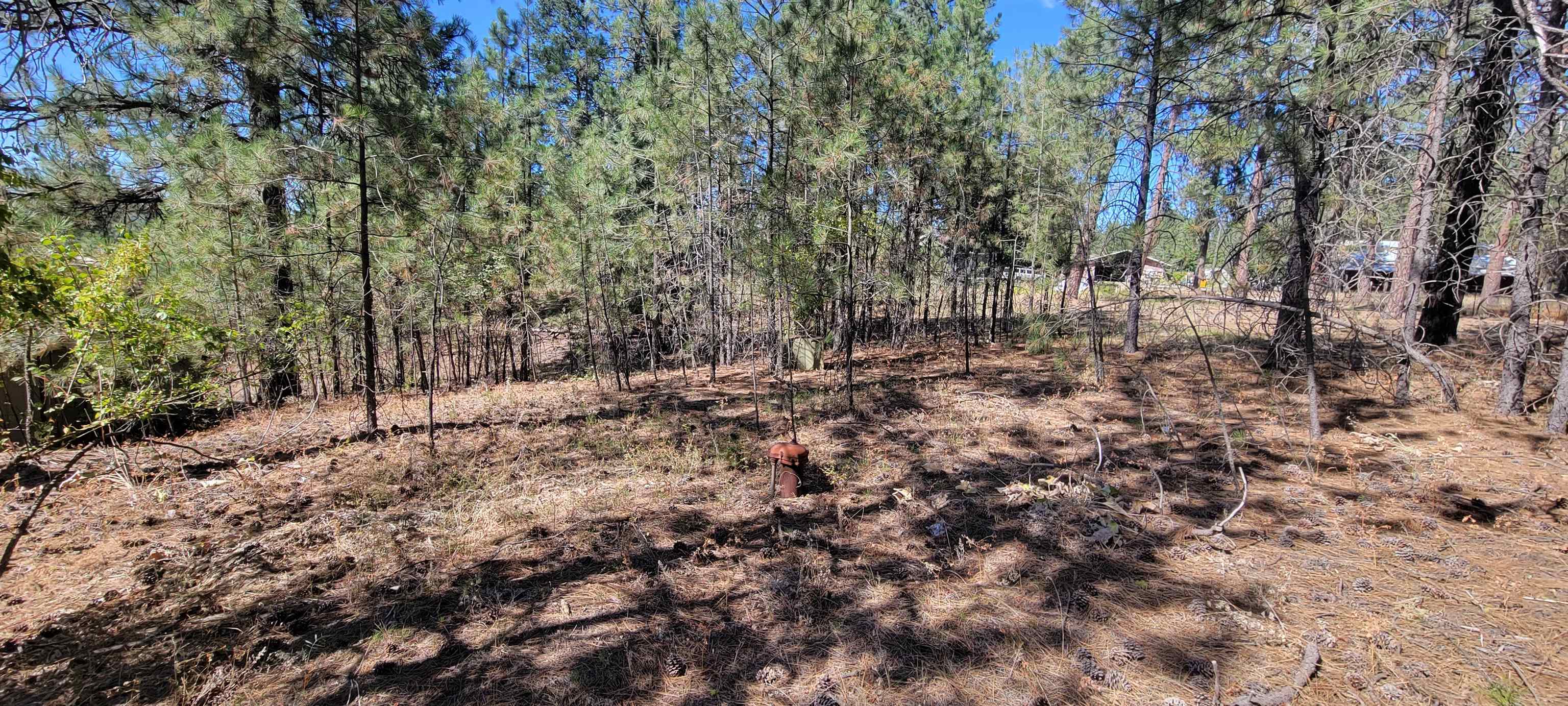 20621 North Market Road Colbert, WA 99005 - Photo 5 of 9