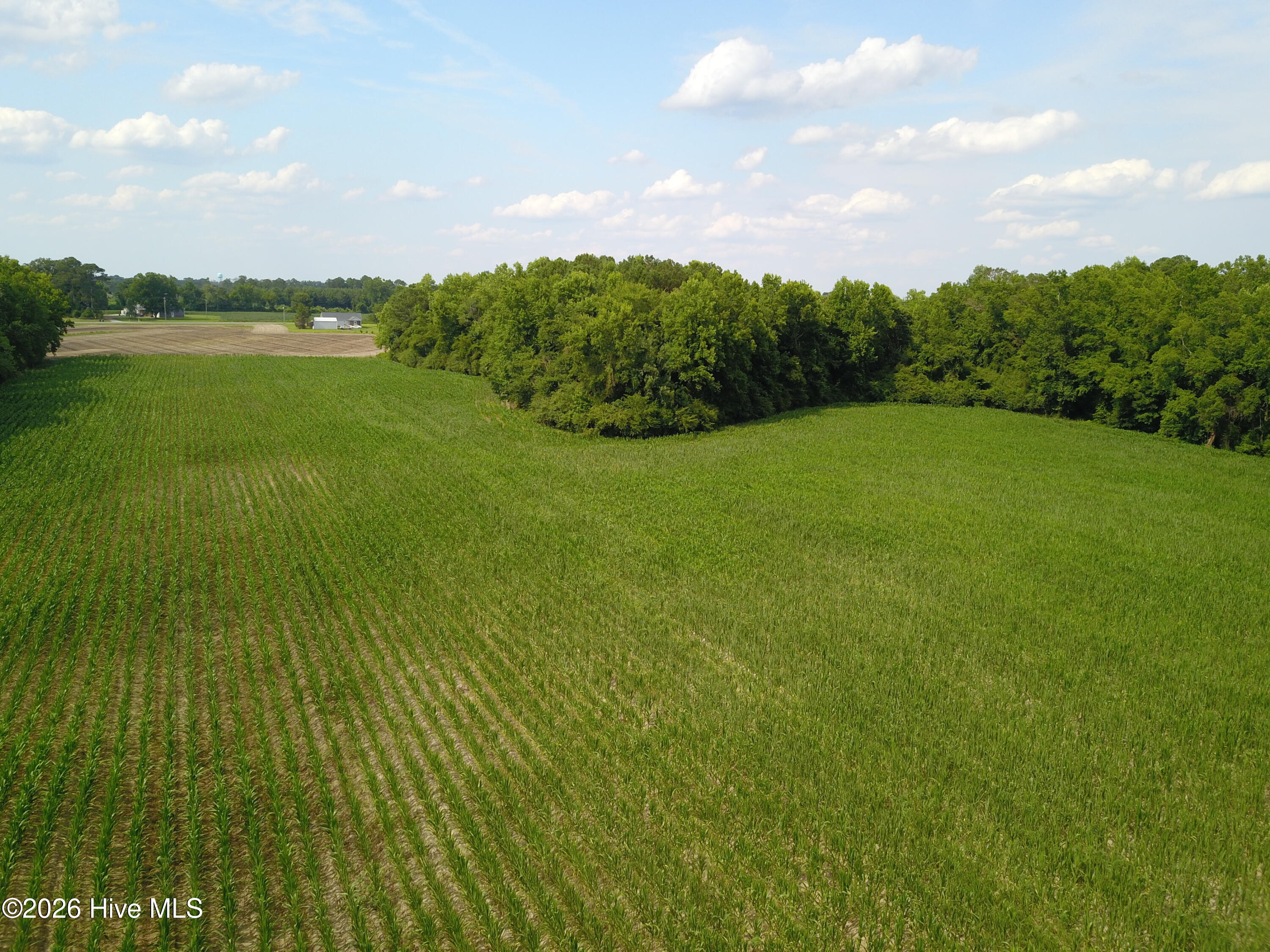 1817 Off S/ Road South Chinquapin, NC 28521 - Photo 7 of 10