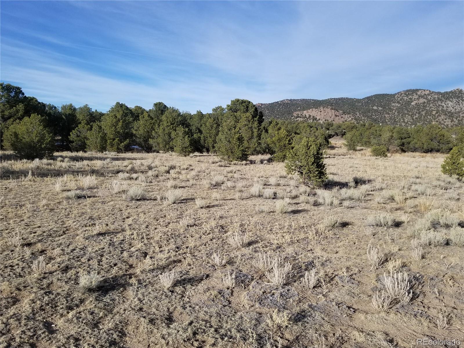 10764 Sawatch Range Road Salida, CO 81201 - Photo 19 of 36 a view of a dry yard covered with fog