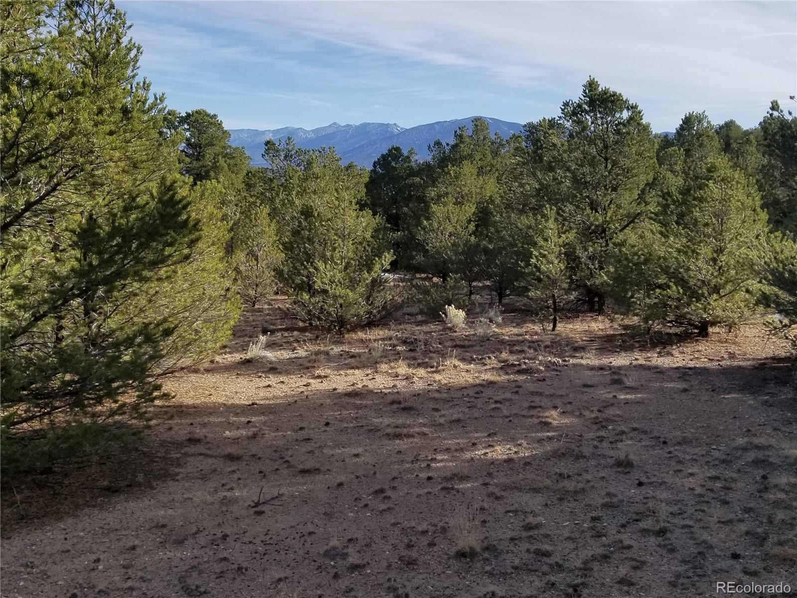10764 Sawatch Range Road Salida, CO 81201 - Photo 29 of 36 a view of a yard with a tree