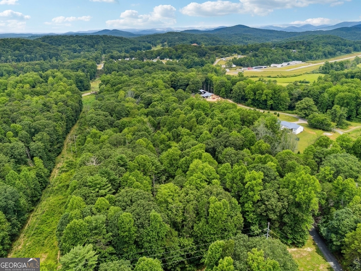 380 Guy Wimpy Road, Unit LOT 2 Dahlonega, GA 30533 - Photo 14 of 23