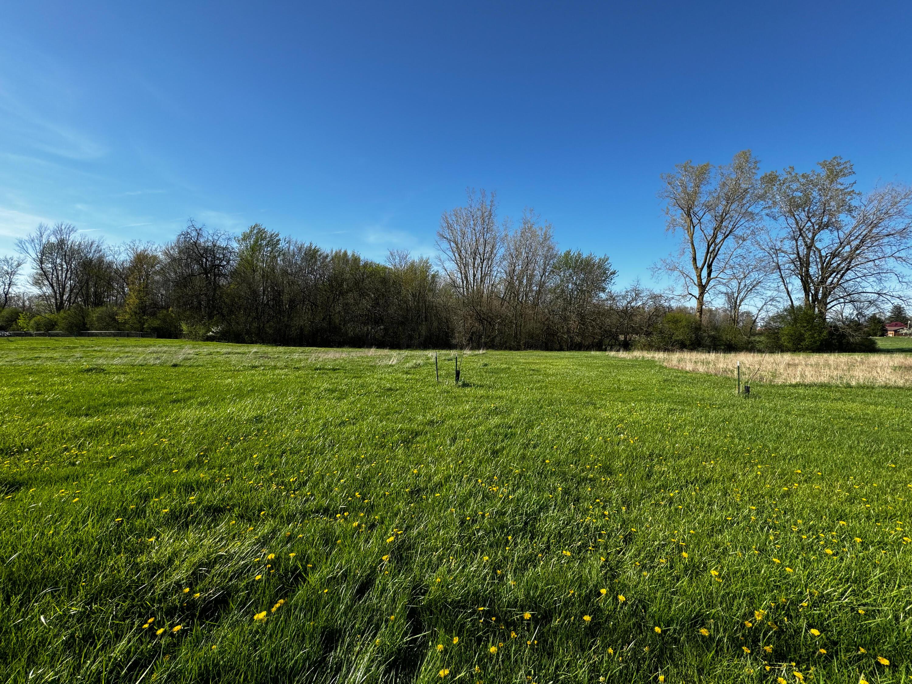 1250 Thrush Road Crestline, OH 44827 - Photo 4 of 5 IMG_6926