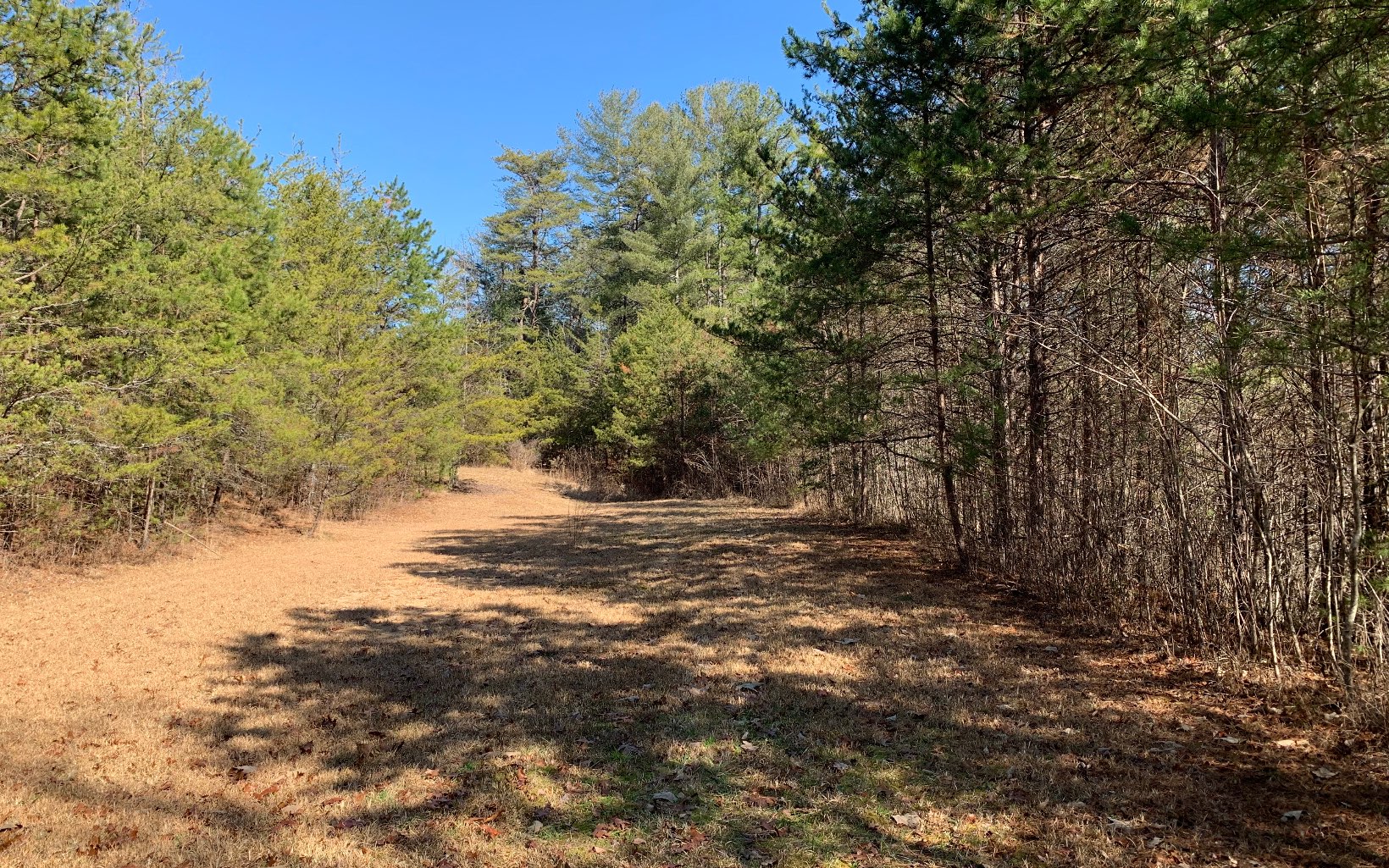 266 Old Bellview Road Murphy, NC 28906 - Photo 1 of 4 Main View