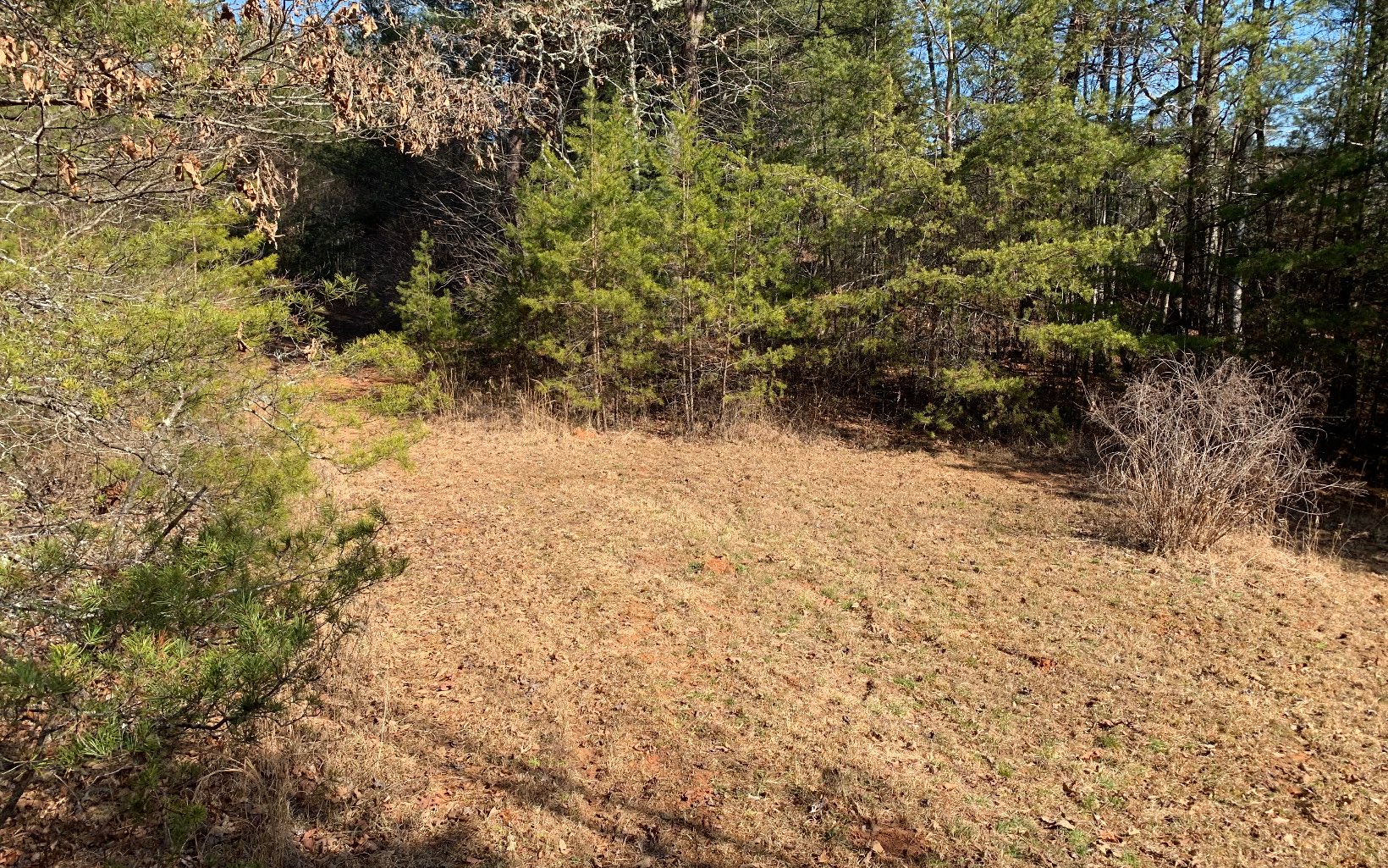 266 Old Bellview Road Murphy, NC 28906 - Photo 2 of 4 Additional View