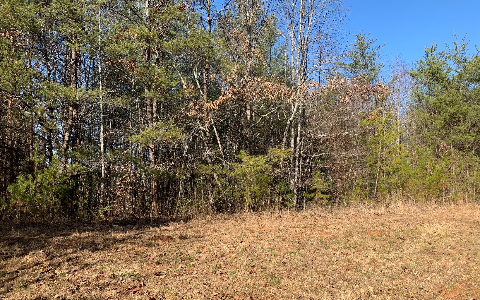266 Old Bellview Road Murphy, NC 28906 - Photo 3 of 4 Additional View