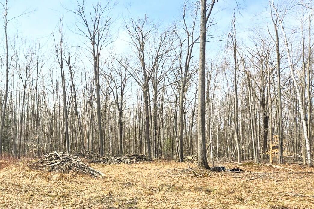 4381 Woodmansee Road Cheboygan, MI 49721 - Photo 6 of 15 Gallery Image 6