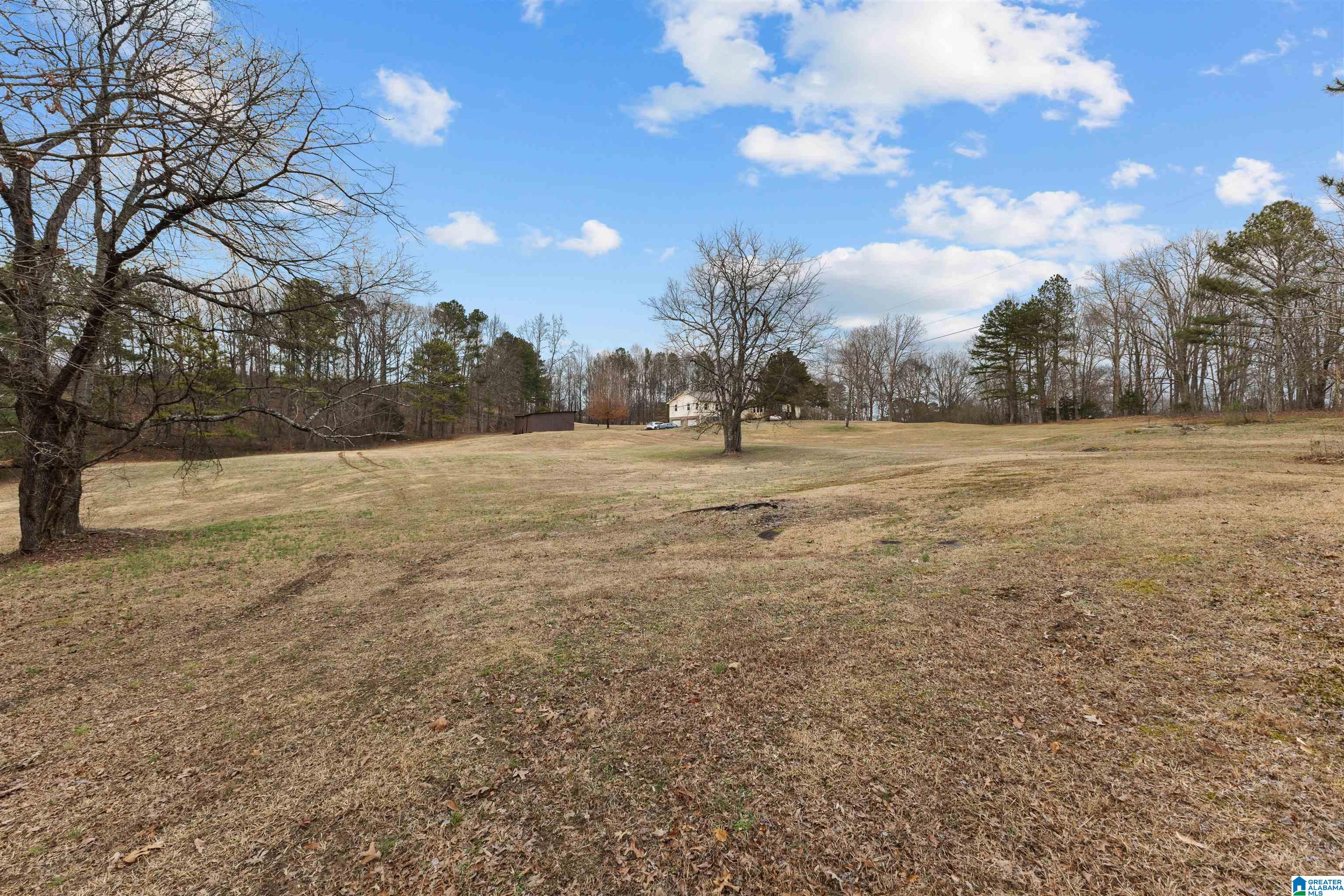 560 Phillips Drive Oneonta, AL 35121 - Photo 49 of 50
