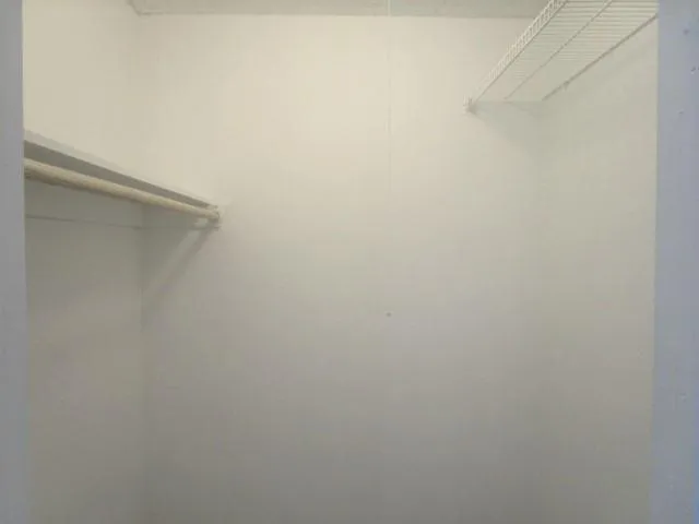 a close up view of racks on the wall