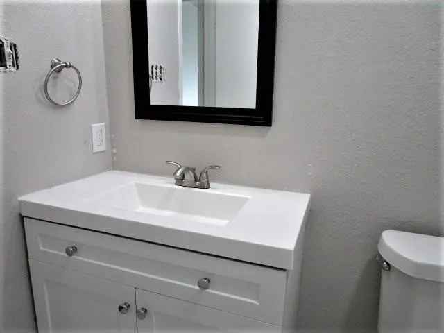 a bathroom with a sink vanity and toilet