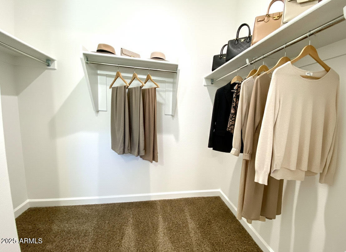 3274 West Stradling Avenue Apache Junction, AZ 85120 - Photo 19 of 35 a view of walk in closet with clothes and shoes