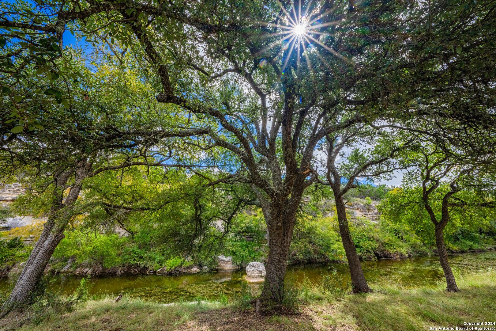 6477 South Ranch Road 783 Harper, TX 78631 - Photo 9 of 24