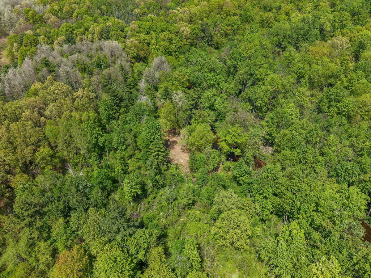 Parcel B West County Line Road Gowen, MI 49326 - Photo 14 of 15 15325-Montcalm_211