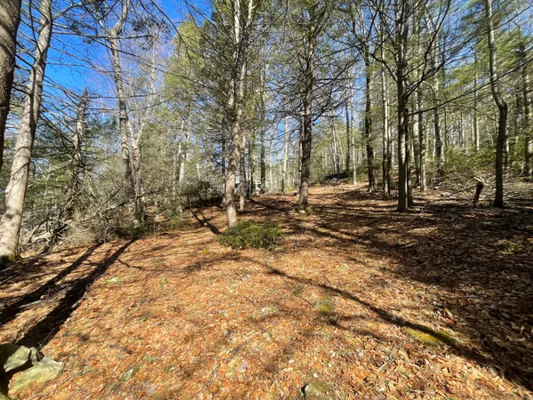 $40,000 | 50 Pine Road, Colebrook, CT 06021
