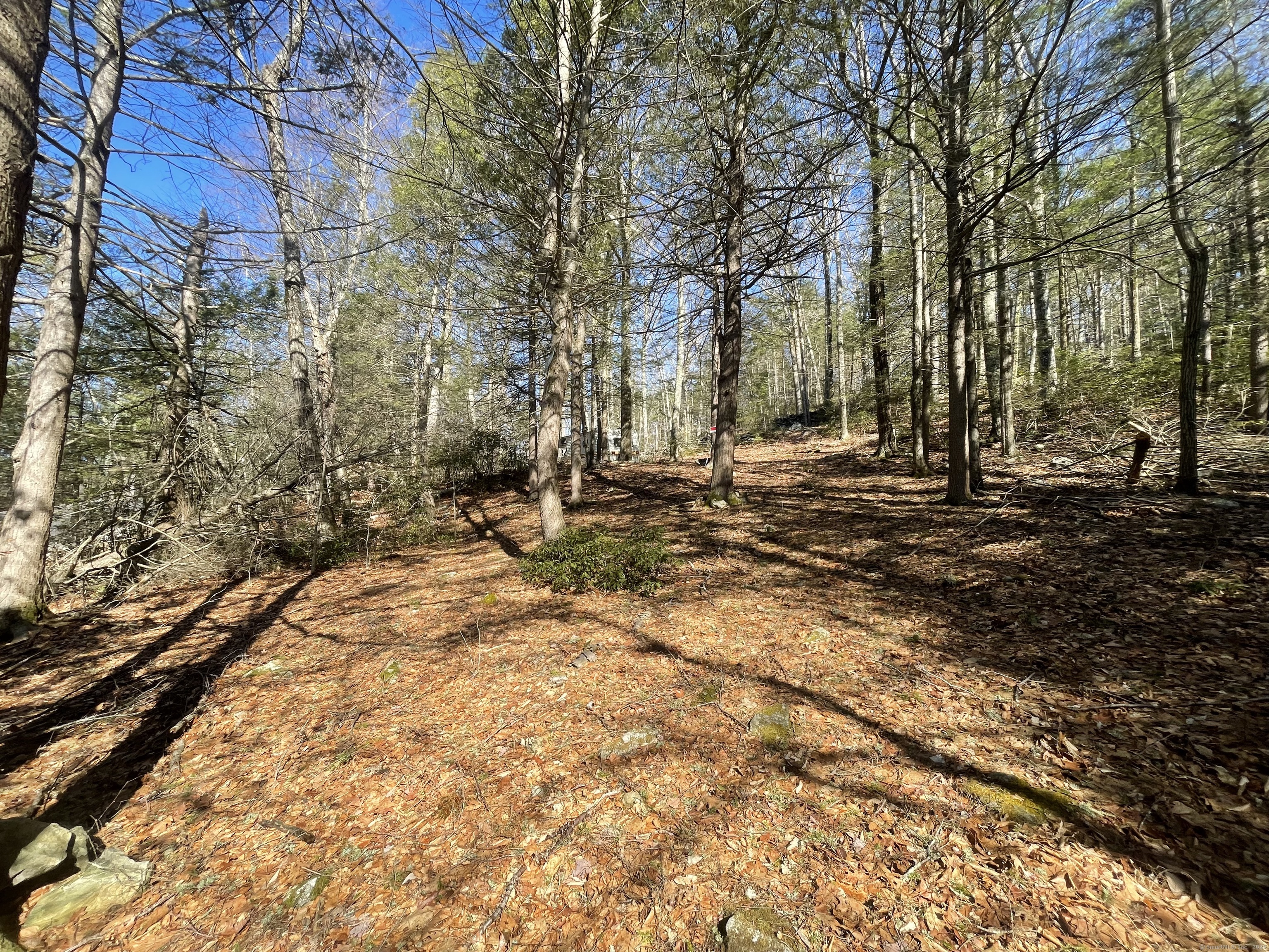 50 Pine Road Colebrook, CT 06021 - Photo 1 of 1