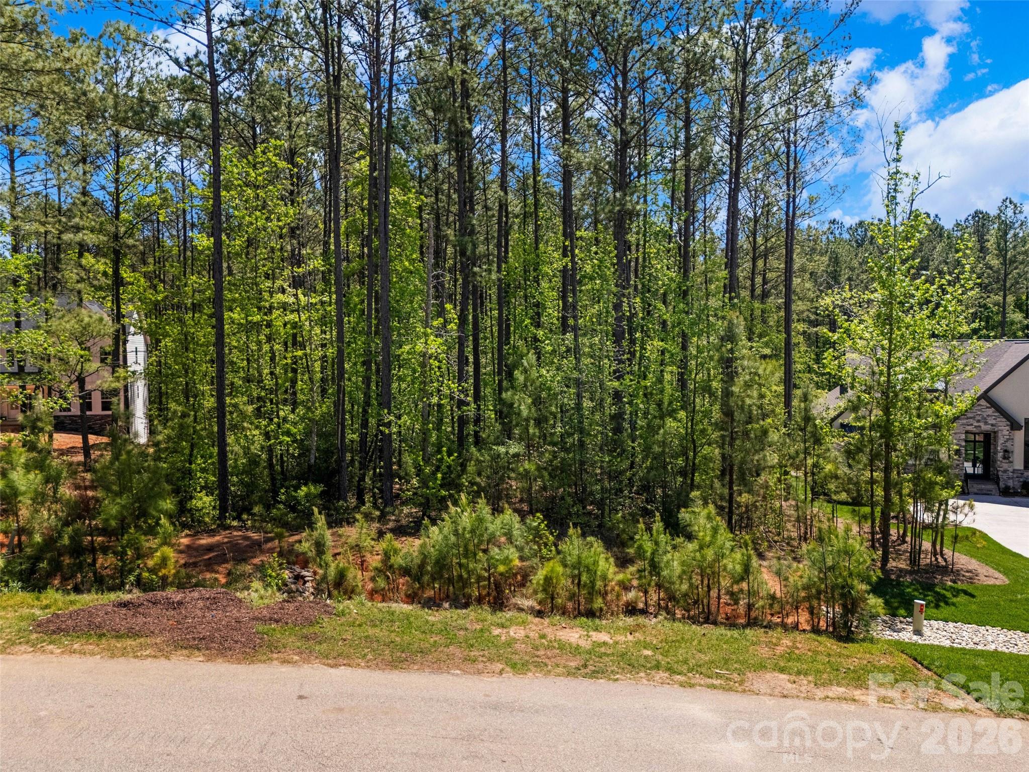 6121 Chimney Bluff Road, Unit 6 Lancaster, SC 29720 - Photo 2 of 25 a view of a yard with plants and trees