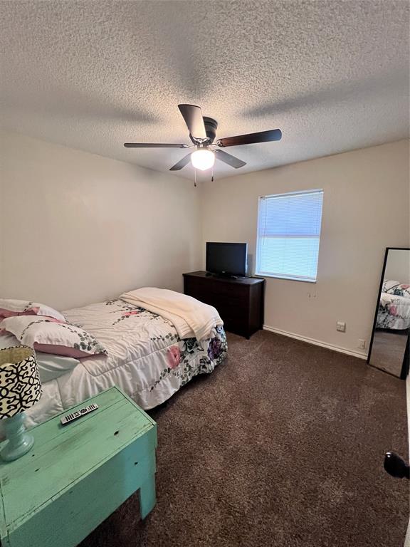 113 Candlestick Drive Graham, TX 76450 - Photo 16 of 28