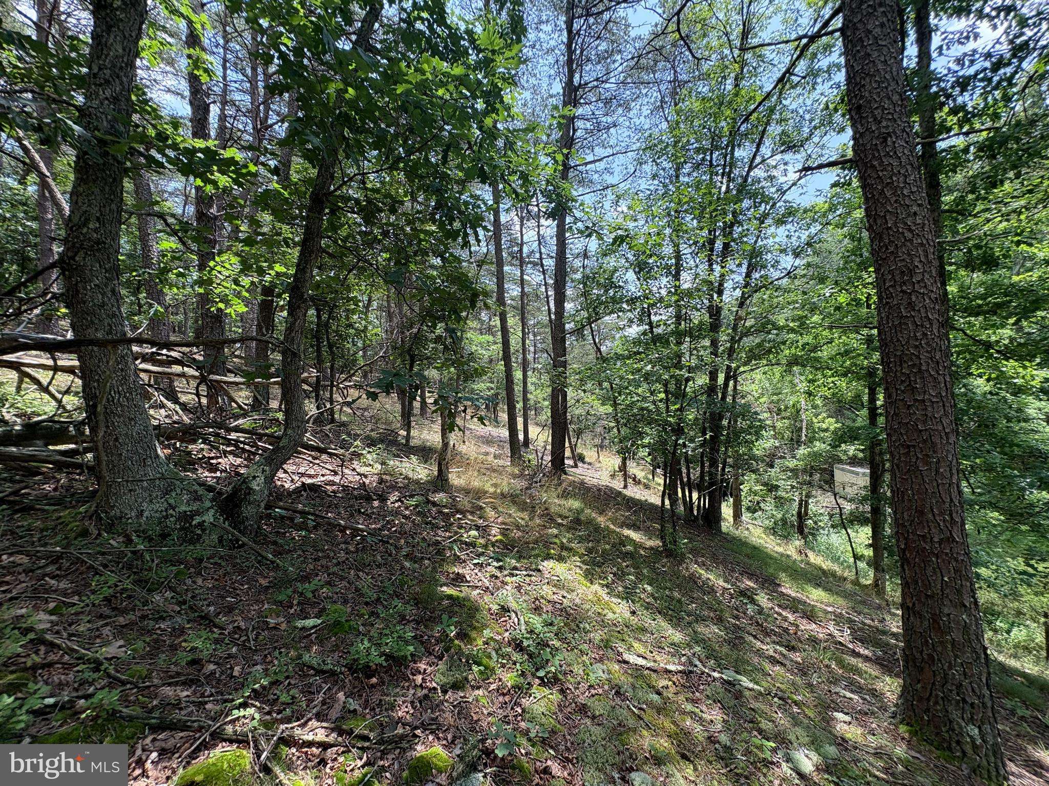 7313 Little Cacapon Road Romney, WV 26757 - Photo 6 of 18