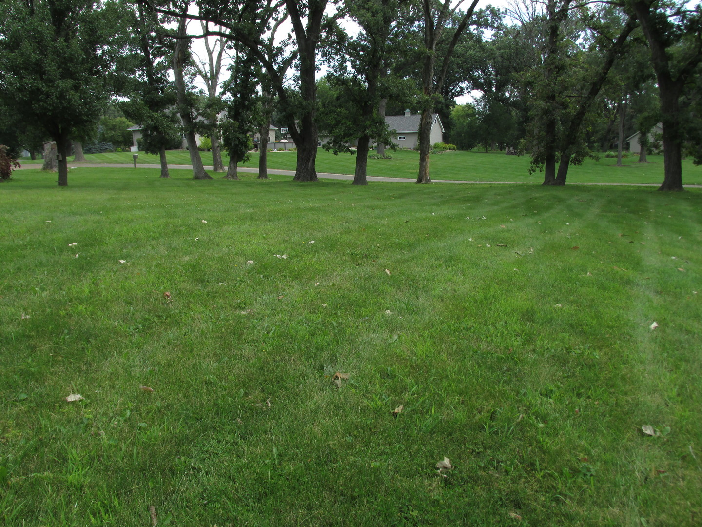 1928 Ole Hickory Road Amboy, IL 61310 - Photo 27 of 29 Gallery Image 27