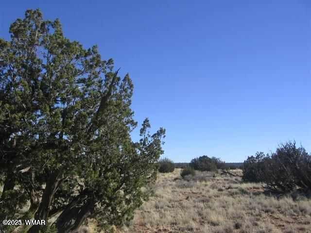 5 T14n R16e Chevelon Retreat Heber, AZ 85928 - Photo 1 of 2 lot