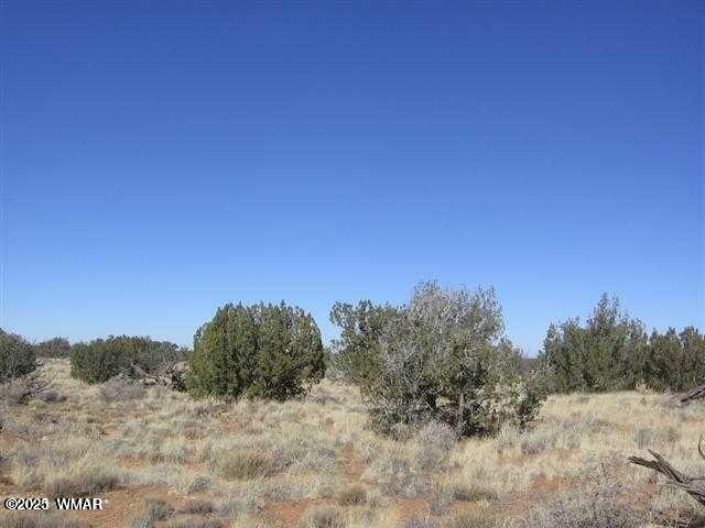 5 T14n R16e Chevelon Retreat Heber, AZ 85928 - Photo 2 of 2 2