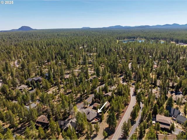 a view of a city with lush green forest