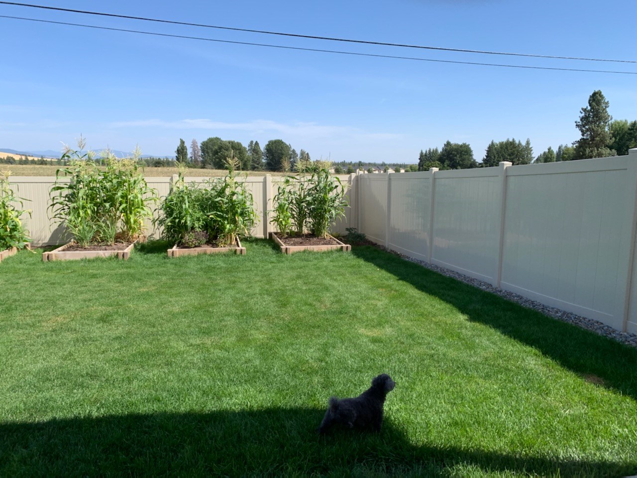3075 Pheasant Street Cheney, WA 99004 - Photo 18 of 25 Gallery Image 18