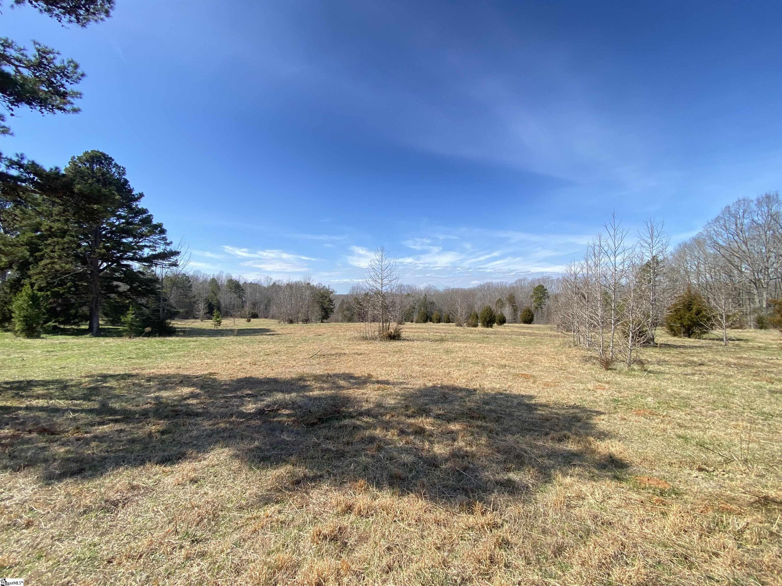 160 West Circle Road Gray Court, SC 29645 - Photo 6 of 18