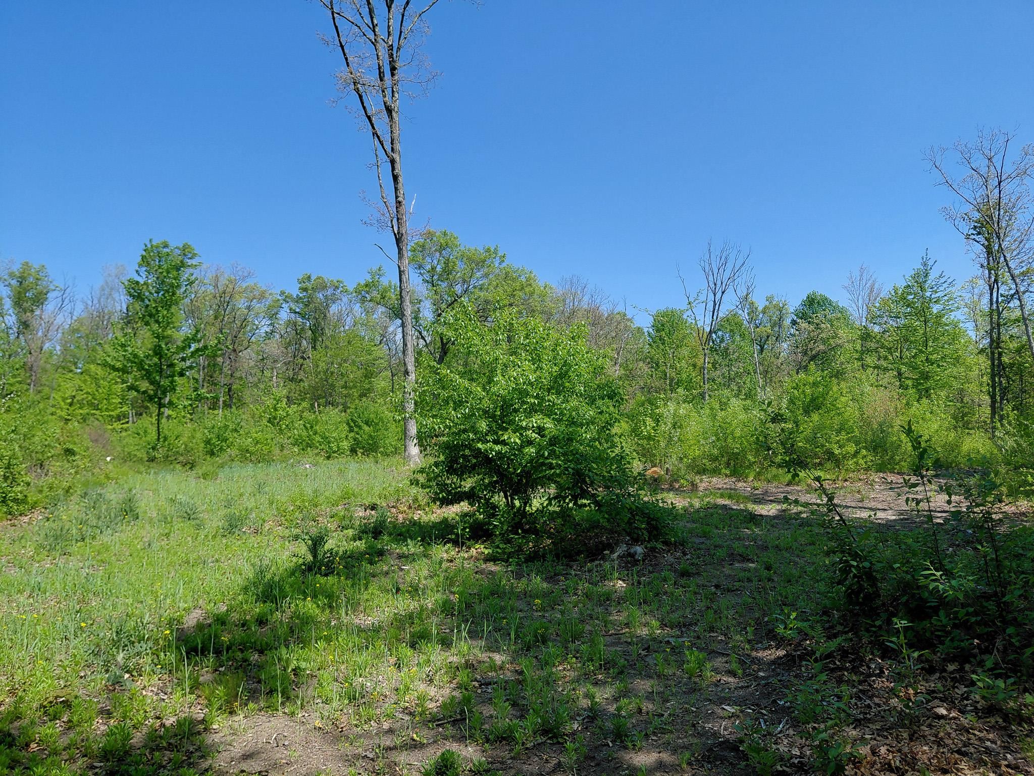 3751 East Townline Lake Road Harrison, MI 48625 - Photo 62 of 64