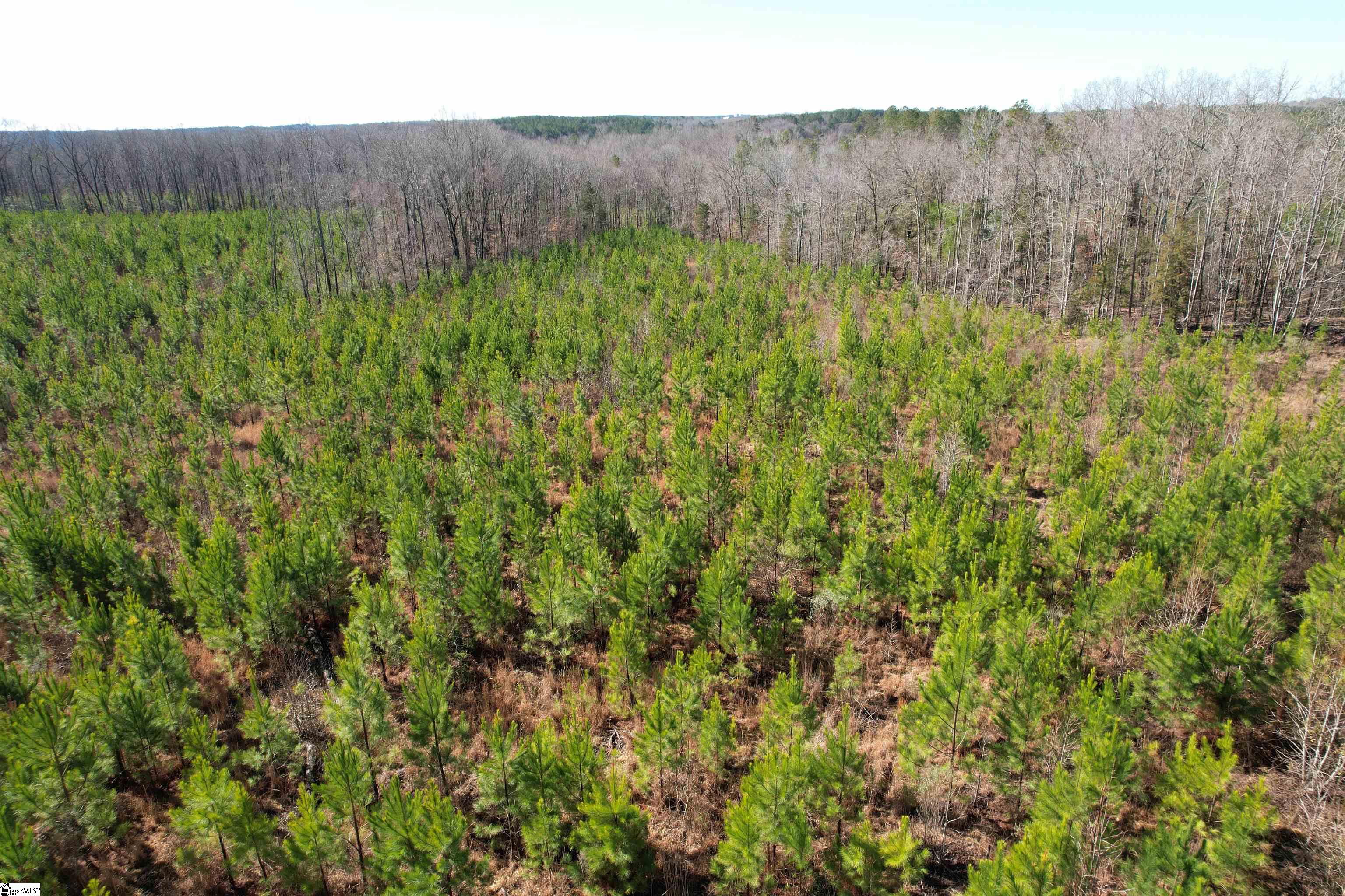 0 Nation Road Hodges, SC 29653 - Photo 17 of 29