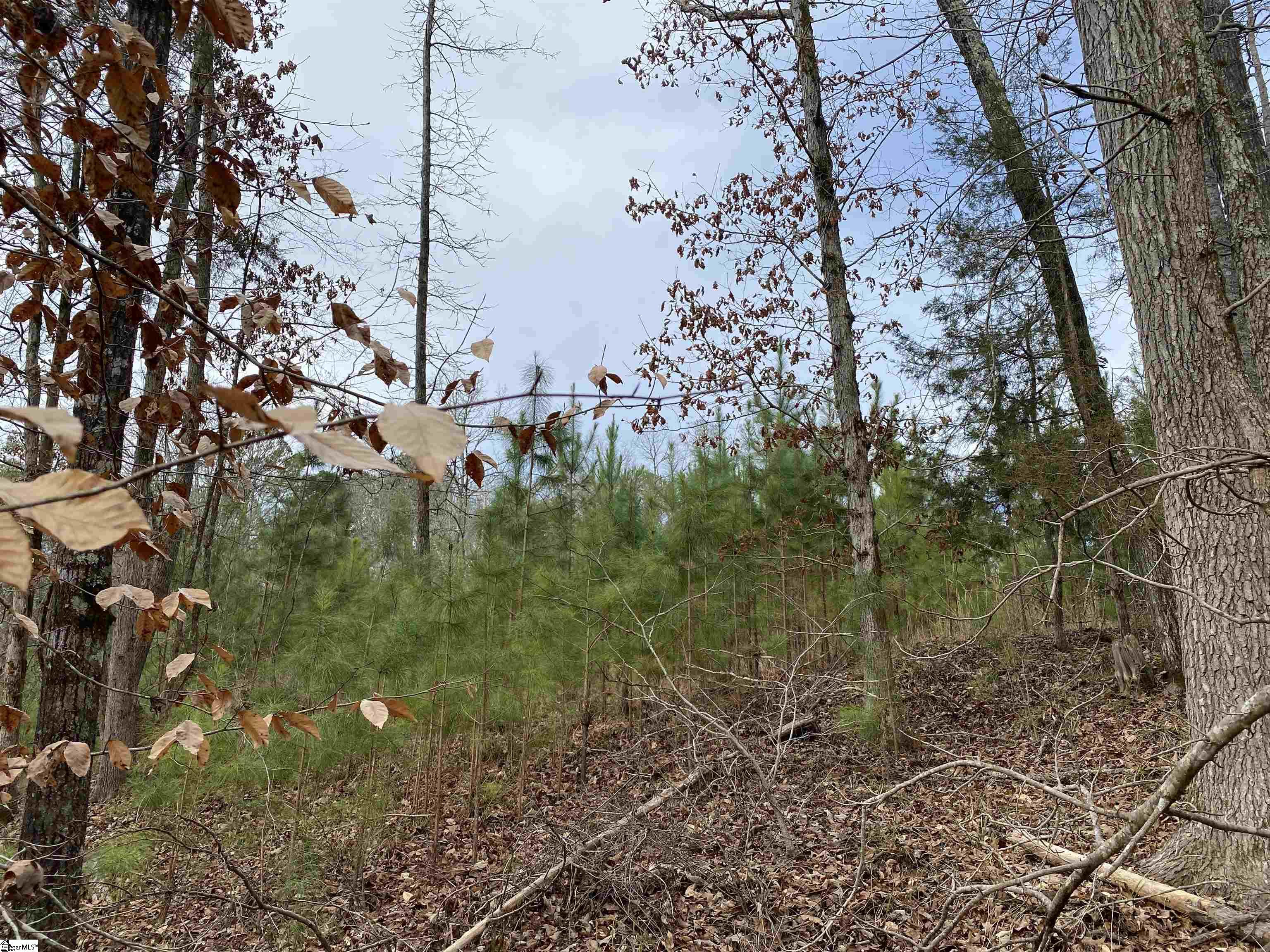 0 Nation Road Hodges, SC 29653 - Photo 6 of 29