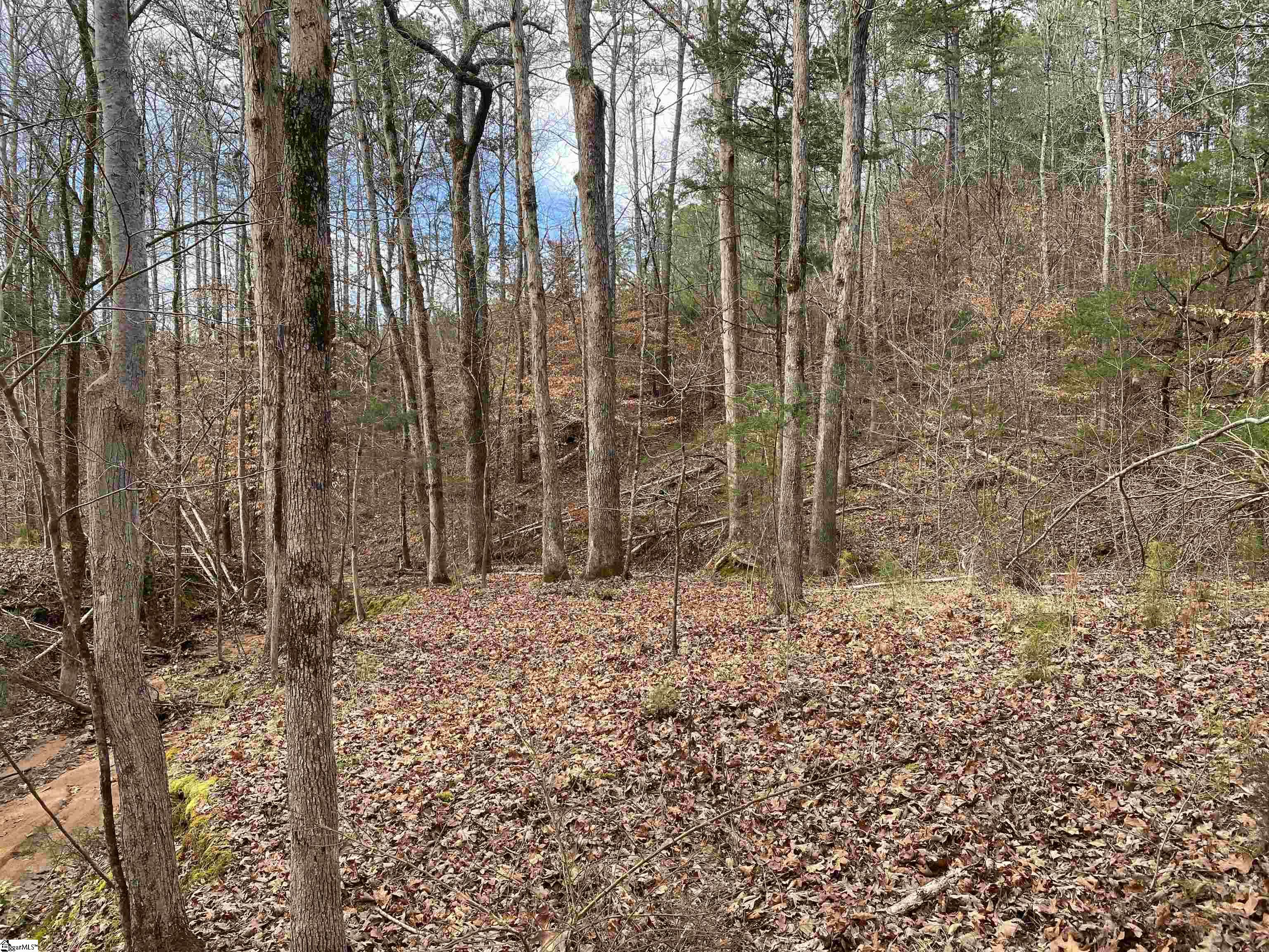 0 Nation Road Hodges, SC 29653 - Photo 7 of 29